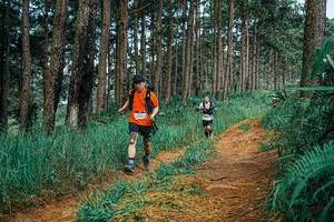 BIB: 
                            <button type="button" onclick="openModal(25750436)" class="btn btn-primary btn-sm float-right btn-popup" data-toggle="modal" data-target=".modal-high-quality">
                        <i class="fas fa-shopping-cart"></i> Add to Cart
                    </button>
                                            <button type="button" onclick="isThisMe(25750436, true)" class="btn btn-success btn-sm float-right btn-popup btn-isme hidden" data-toggle="tooltip" data-placement="bottom" title="นี่คือรูปของคุณใช่ไหม คลิกที่นี่เพื่อเอาเข้าอัลบั้ม">
                        <i class="fas fa-plus"></i> Add to album
                    </button>
                    <button type="button" onclick="isThisMe(25750436, false)" class="btn btn-warning btn-sm float-right btn-popup btn-isnotme hidden">
                        <i class="fas fa-ban"></i> Remove from album
                    </button>